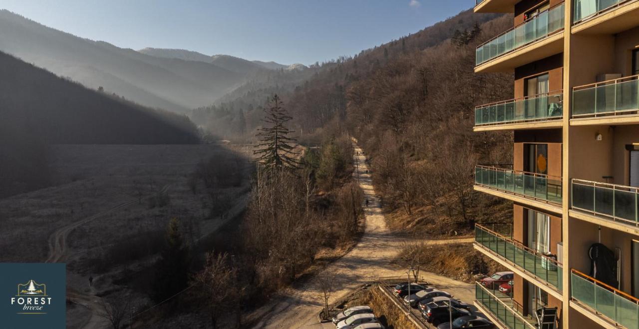 Forest Breeze Apartterrace Brasov Ngoại thất bức ảnh