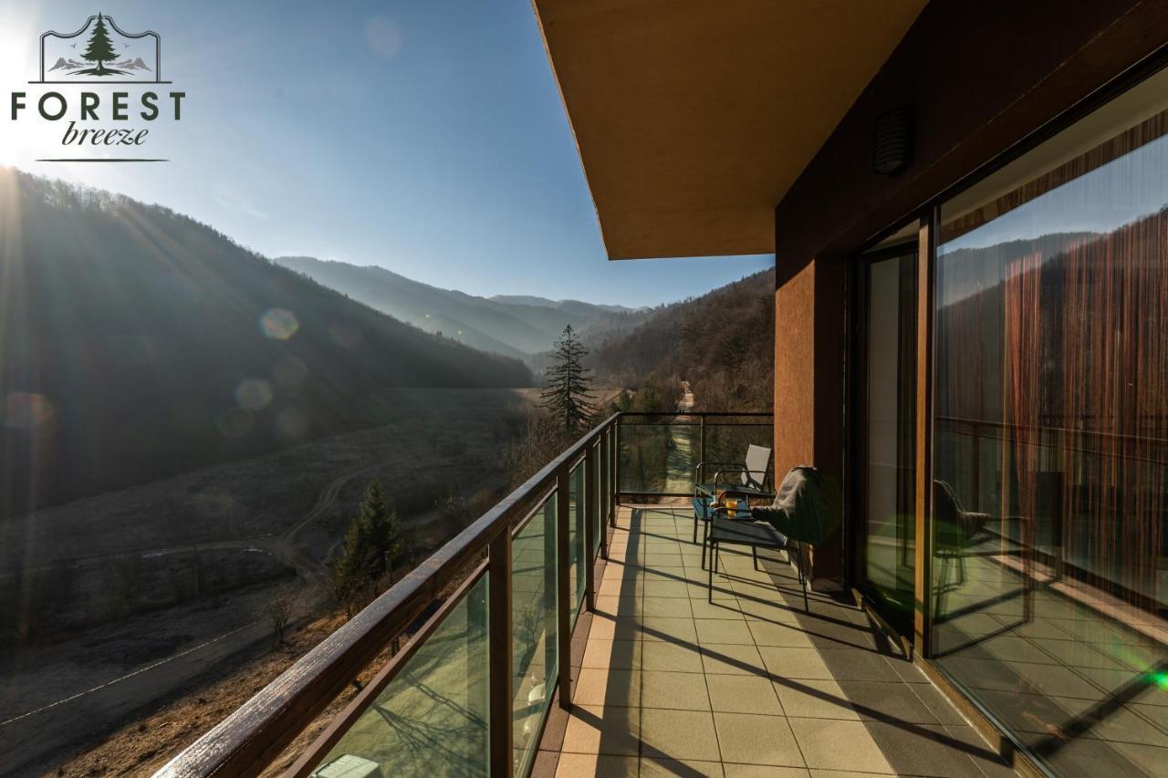 Forest Breeze Apartterrace Brasov Ngoại thất bức ảnh