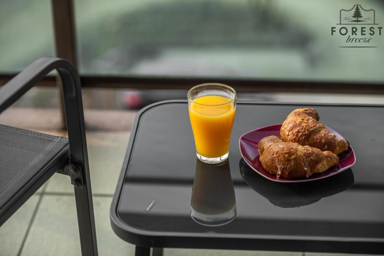 Forest Breeze Apartterrace Brasov Ngoại thất bức ảnh