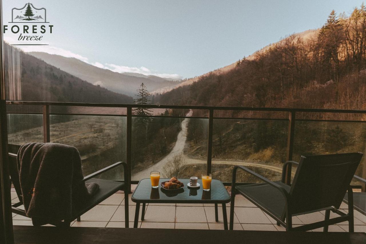 Forest Breeze Apartterrace Brasov Ngoại thất bức ảnh