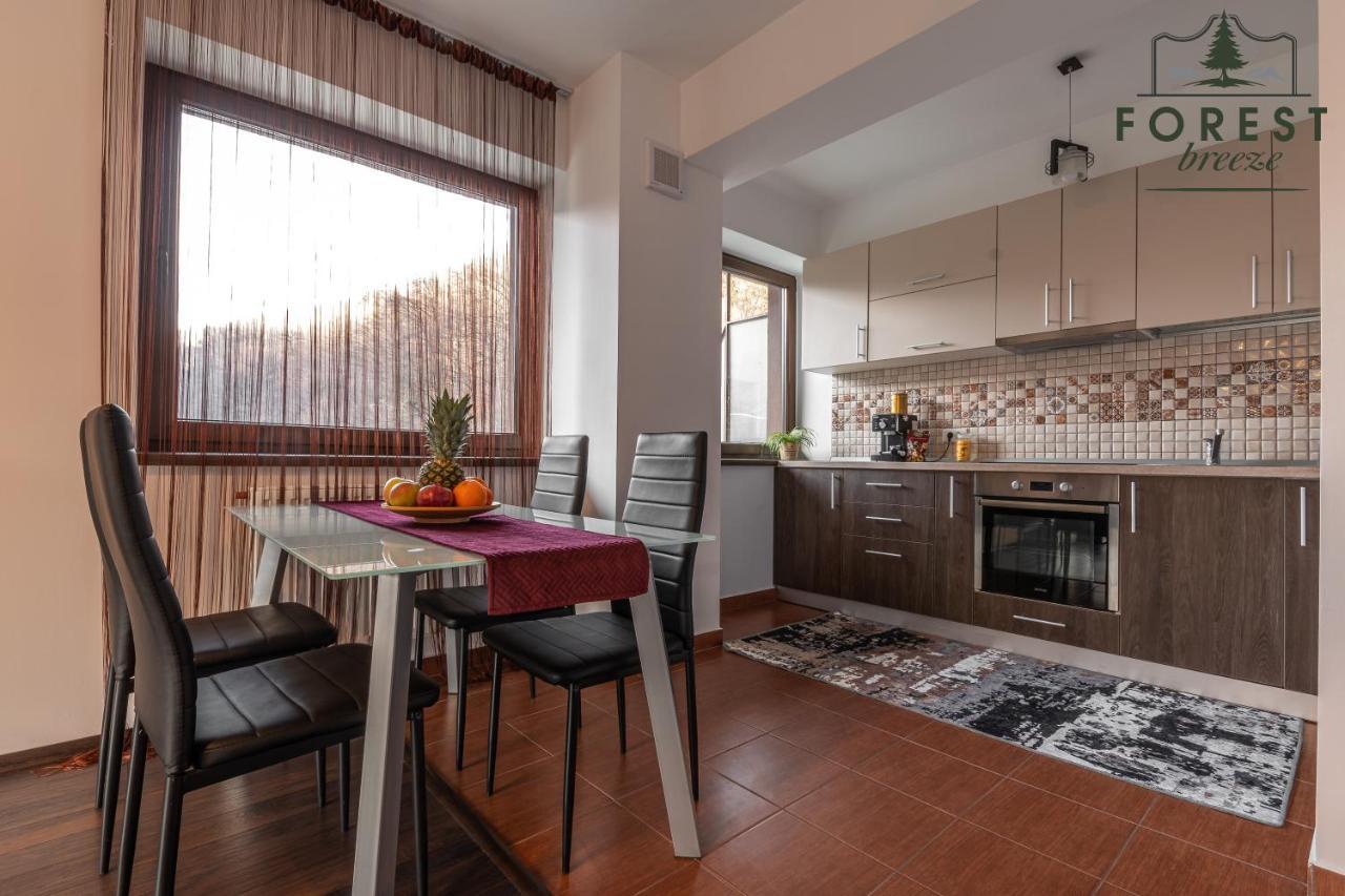 Forest Breeze Apartterrace Brasov Ngoại thất bức ảnh