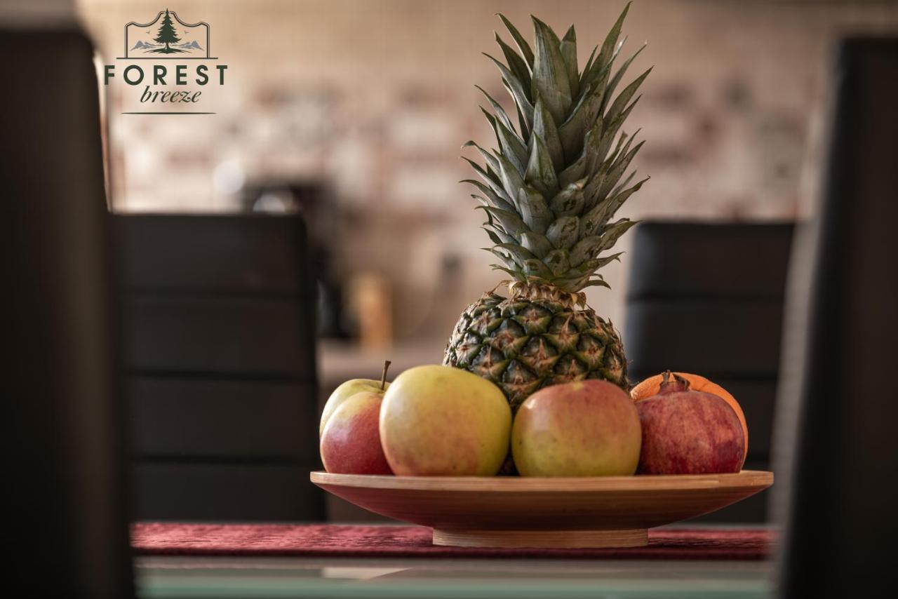 Forest Breeze Apartterrace Brasov Ngoại thất bức ảnh