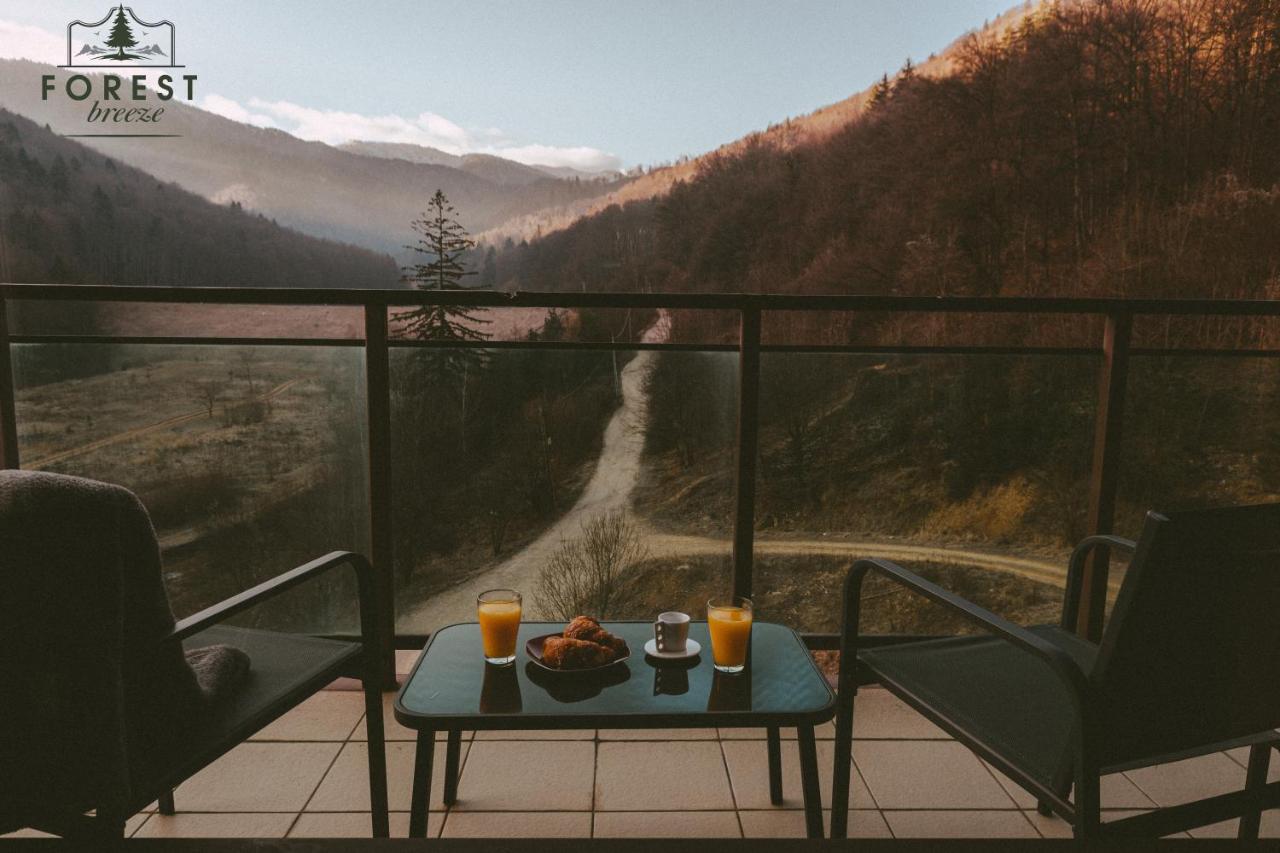 Forest Breeze Apartterrace Brasov Ngoại thất bức ảnh