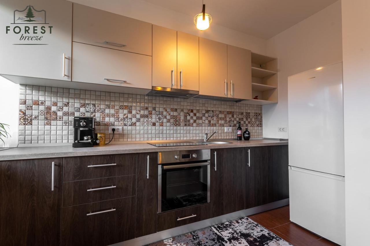 Forest Breeze Apartterrace Brasov Ngoại thất bức ảnh