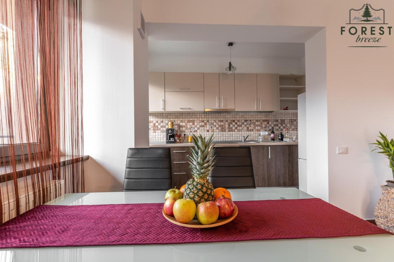 Forest Breeze Apartterrace Brasov Ngoại thất bức ảnh