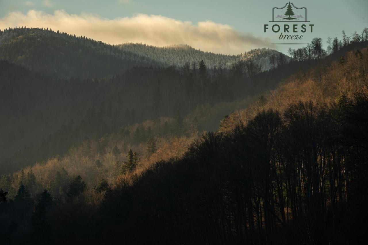Forest Breeze Apartterrace Brasov Ngoại thất bức ảnh