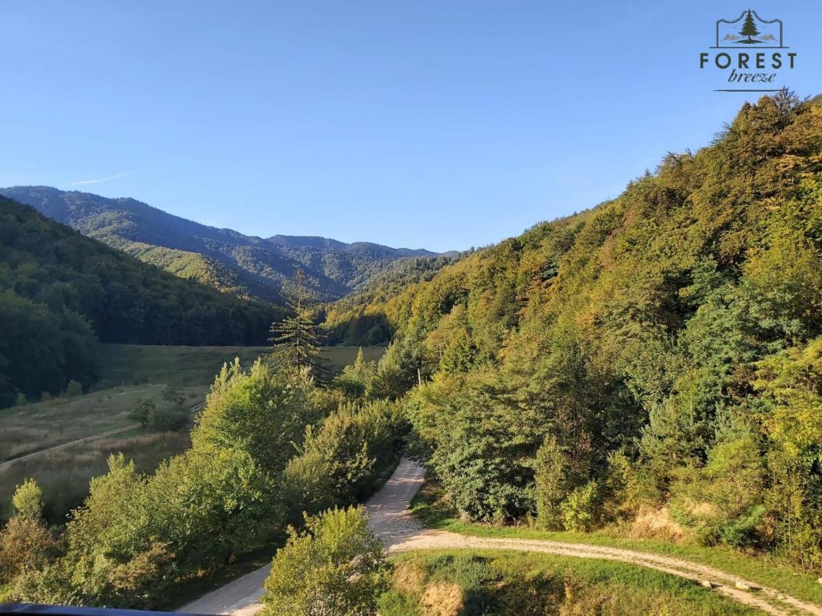 Forest Breeze Apartterrace Brasov Ngoại thất bức ảnh