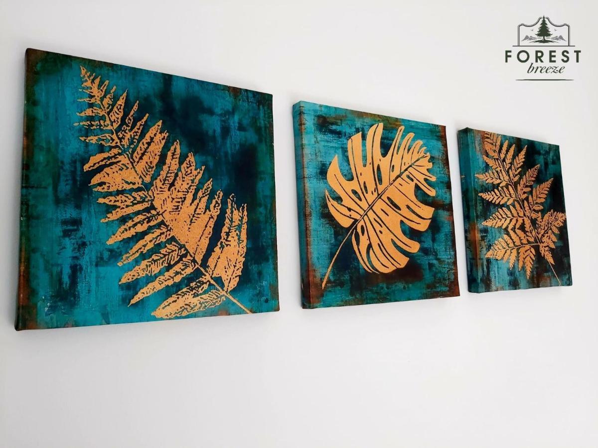 Forest Breeze Apartterrace Brasov Ngoại thất bức ảnh