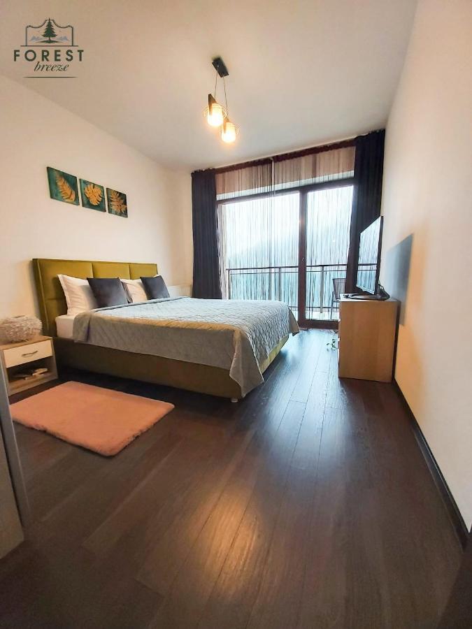 Forest Breeze Apartterrace Brasov Ngoại thất bức ảnh