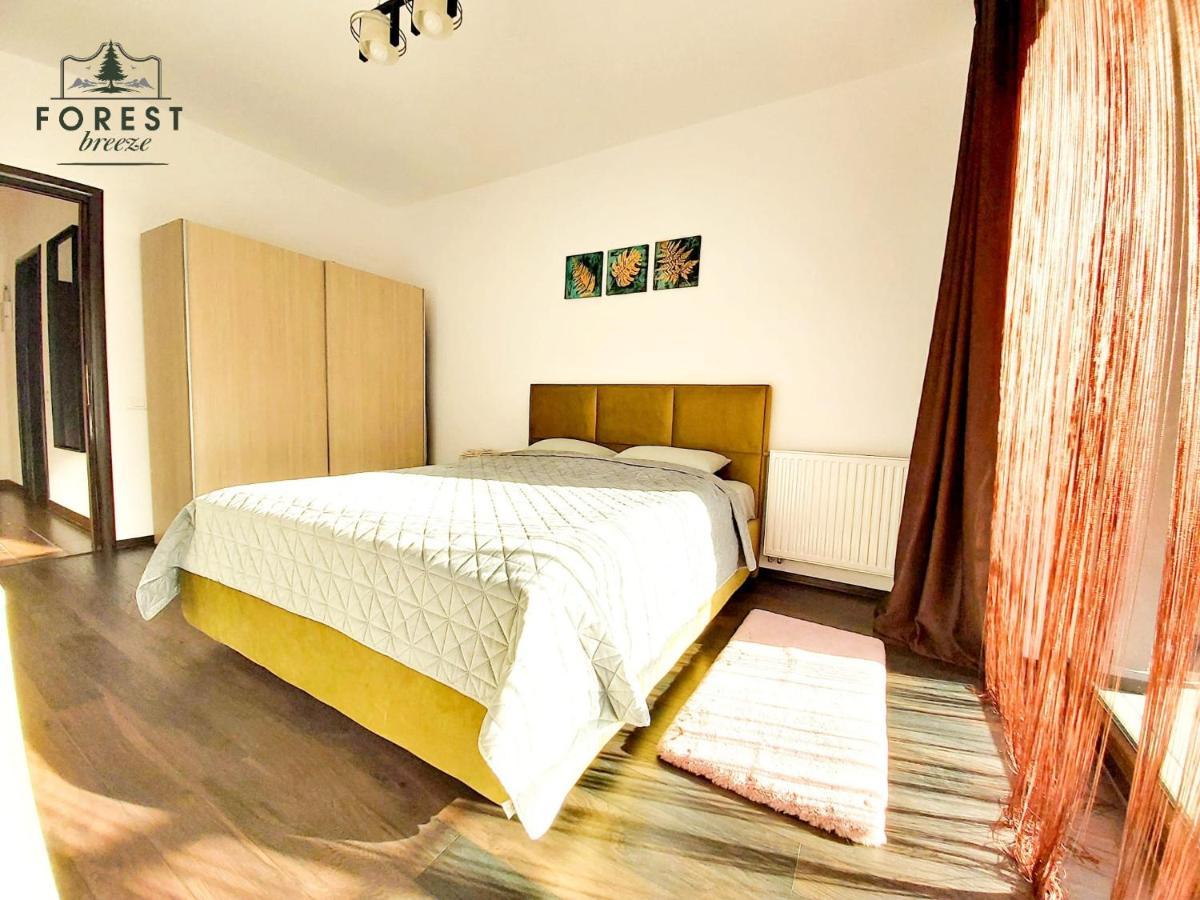Forest Breeze Apartterrace Brasov Ngoại thất bức ảnh