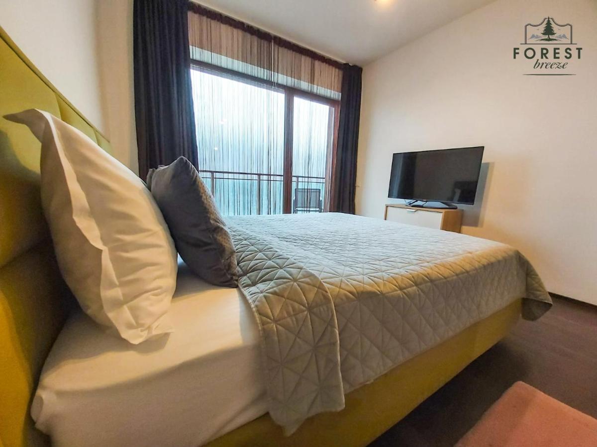 Forest Breeze Apartterrace Brasov Ngoại thất bức ảnh