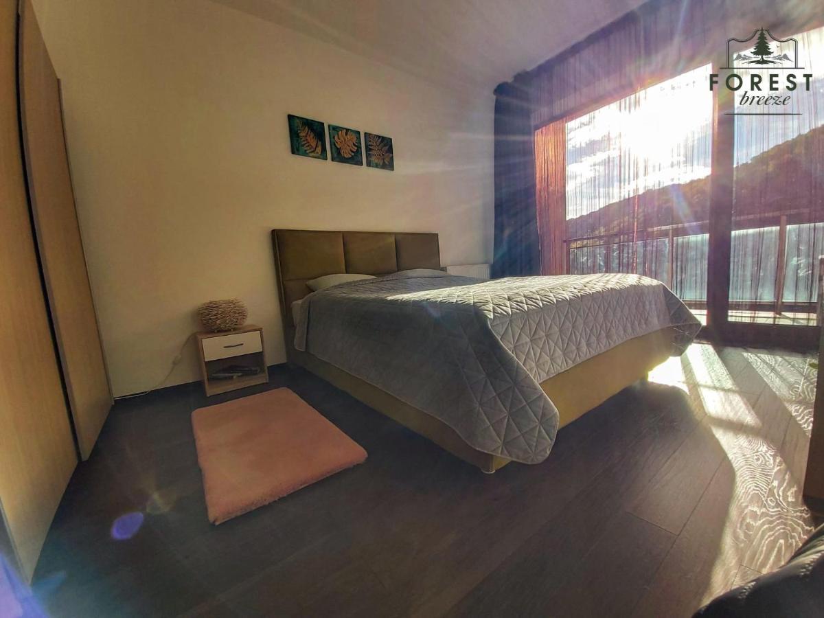 Forest Breeze Apartterrace Brasov Ngoại thất bức ảnh