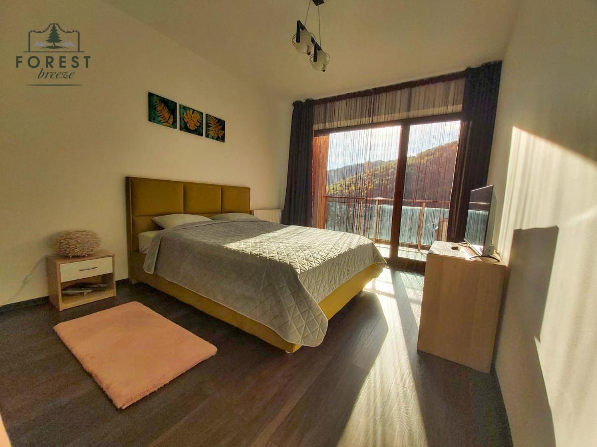 Forest Breeze Apartterrace Brasov Ngoại thất bức ảnh