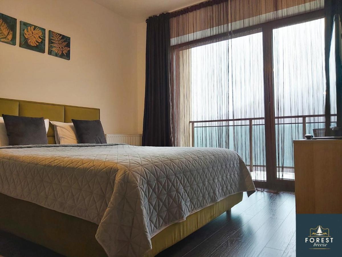 Forest Breeze Apartterrace Brasov Ngoại thất bức ảnh